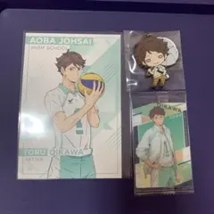 及川徹ハイキューポストカードラバスト