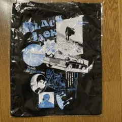 Item thumbnail for item f4485f57-7679-492e-ab06-4740f85097d5