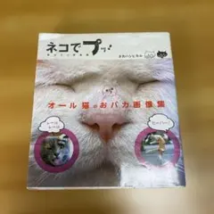 ネコでプッ! オール猫のおバカ画像集　タカハシヒカル　表紙破れあり