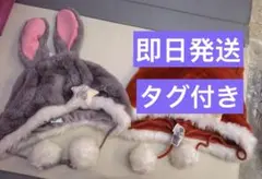 上海ディズニー限定 ズートピア ファンキャップ ジュディ