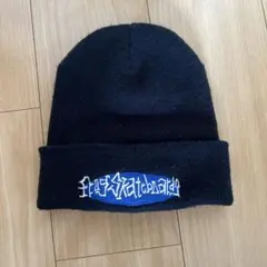 frog skateboards ニット帽 ビーニー　ブラック　スケーター
