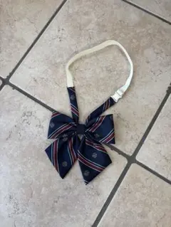 Item thumbnail for item 6a9efcd9-0828-4d62-8ef6-526bbde8c65e