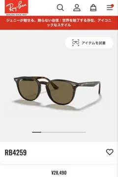 Ray Ban レイバン RB4259 サングラス