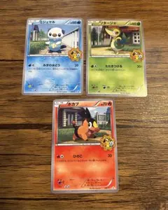 希少】 BW イッシュ御三家 ポケモンフェア アピタ プロモ 3枚 - メルカリ