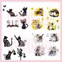 Item thumbnail for item b5f4d521-b35a-454a-830a-f689b0f3c5de