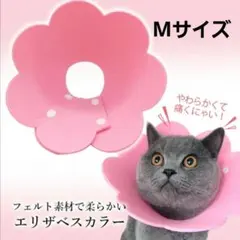 Item thumbnail for item 5f1050d3-feb2-4043-9769-364ac2a04fd3