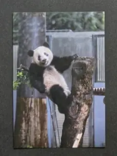 ピコちゃん(土日の発送はお休みです)様 リクエスト 10点 まとめ商品