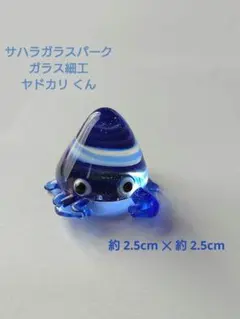 ヤドカリ　ガラス細工　サハラガラスパーク　水族館