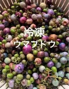 2025年最新】ウマブドウの人気アイテム - メルカリ