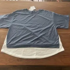 重ね着風 Tシャツ 4L ブルーのサムネイル