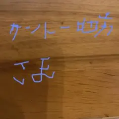 カントー地方さま専用