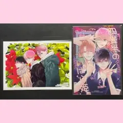 四畳半のいばら姫　9巻　アニメイト　特典　イラストカード　全プレ　クリアカード