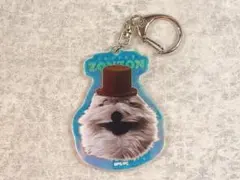 パペットスンスン　オーロラ アクリル キーホルダー　ゾンゾン　アップ