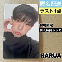 【新品】 &TEAM BLAZE THE WAY 会場 購入特典 HARUA