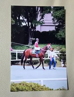2026年最新】ナイスネイチャ 馬券の人気アイテム - メルカリ