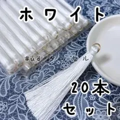 Item thumbnail for item 537605b9-0a41-495d-a41e-ccea1bf2adcf