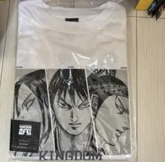 キングダム Tシャツ 20周年 キンキンキングダム - メルカリ