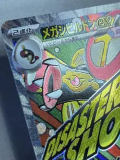 コピー用紙様 リクエスト 4点 まとめ商品