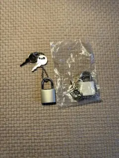 Item thumbnail for item 66246532-f4af-44b6-ab58-2a0e24c6656d