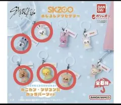 セール❀SKZOO めじるしアクセサリー 2025年Ver.