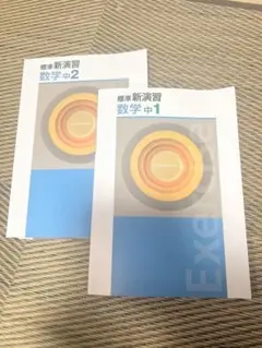 標準新演習 数学 中1 中2 2冊セット (塾教材、テキスト)のサムネイル