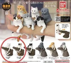 いきもの大図鑑　指まきコレクション猫
