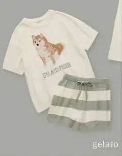 ジェラートピケ　柴犬　半袖とショートパンツセット 2025年最新】ジェラピケ柴犬の人気アイテム - メルカリ