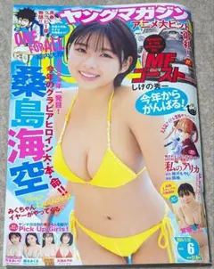 Item thumbnail for item 6876b667-ae77-47ed-95ac-551d9b81c68b