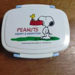 Item thumbnail for item cdb5e097-fbb6-43e4-8ad3-9547bf1c3bb2