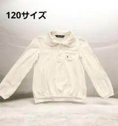 【JANG PIERRE】 ホワイト フリル襟 ポロシャツ 120cm