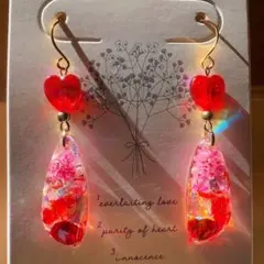 nanaho様♡専用ページ(ねじ式イヤリング変更！)2点おまとめ☆