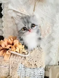ミヌエット子猫ちゃん♡手乗りサイズ♡アートドール♡ぬいぐるみ