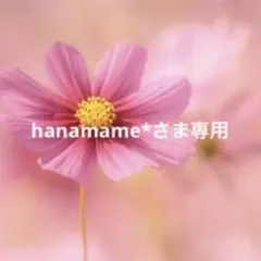 hanamame*さま専用
