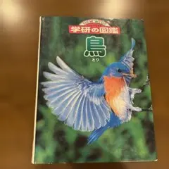 ニューワイド学研の図鑑 鳥