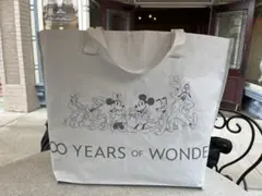 ディズニー100周年 香港ディズニーランド エコバッグ ショッピングバッグ M
