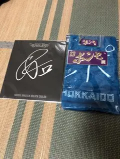 本日売り切りセール　ポンセグッズ