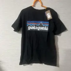 レア2点】信越五岳patagonia Tシャツ - メルカリ