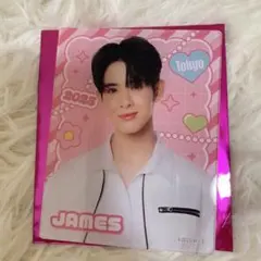 【専用出品】 Man 1st POP-UP セット ランクル80系用オールドマンエミューBP-51ショックセット新品在庫品