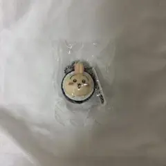 うさぎ くら寿司