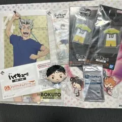 十　ハイキュー　アクリルスタンド　ぬいぐるみ　キーホルダー　アクリルチャーム