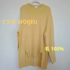 Item thumbnail for item 2d6dd6e1-9db9-4f88-b669-39701c55b754