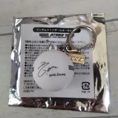 aniteez アイドル