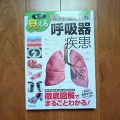 くまりʕ•ᴥ•ʔ様 リクエスト 2点 まとめ商品