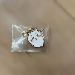 ちいかわ　メタルチャーム　ちいかわパーク限定
