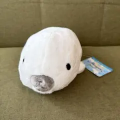 ぽけぷに アザラシ ぬいぐるみ 水族館 人形 あざらし マスコット