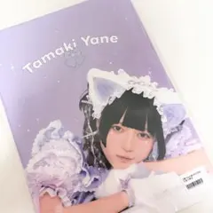環やね 生誕2025 ZINE 写真集 - メルカリ