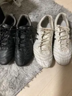 ASICS ds light 2足セット　ホワイト　ブラック