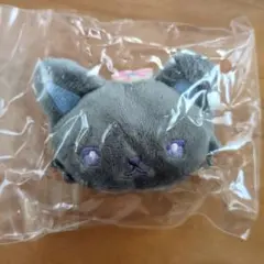 JOCHUM ジェオチャム シークレットブローチ 【ピーハイ】