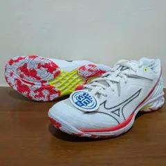 Item thumbnail for item 7a9e2c17-93fe-4ce4-9e5e-3592160a7105