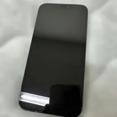 Apple iPhone 12 Pro